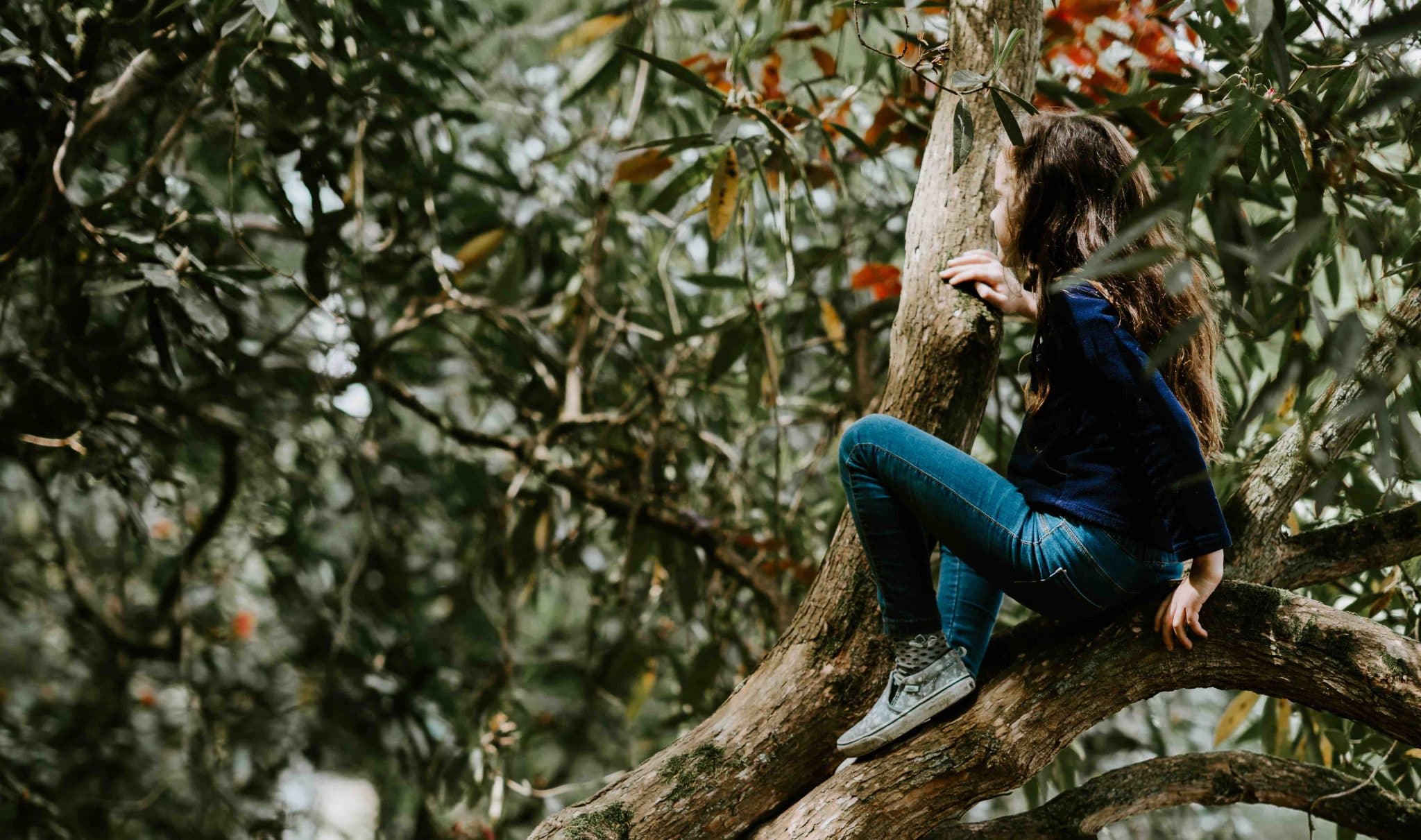 juego libre, jugando en un arbol