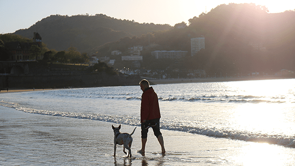 paseando con perro por la concha, donostia