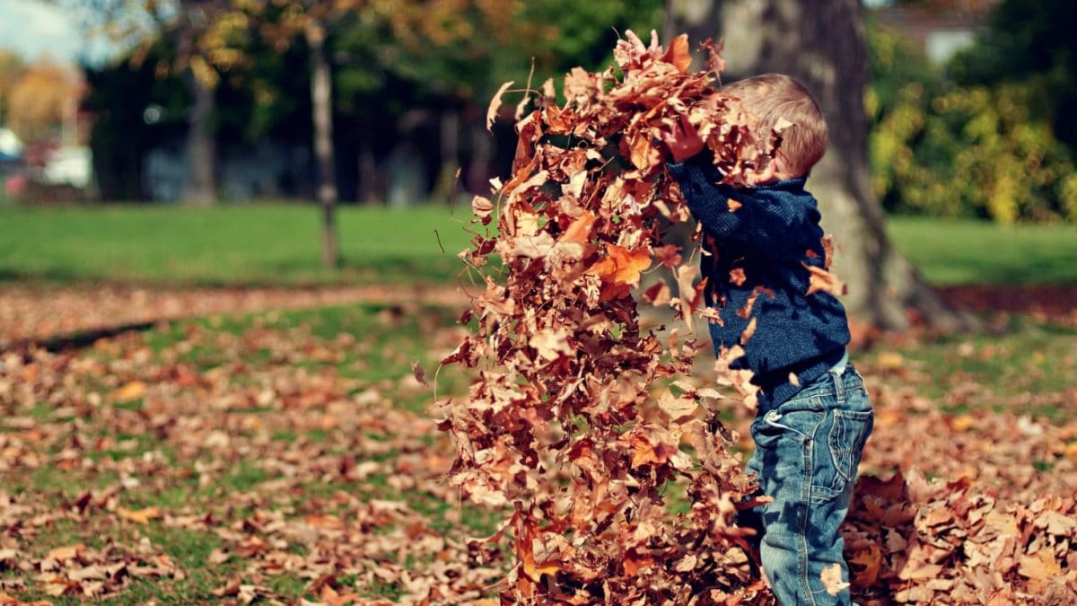 ¿tu hijo se porta mal?