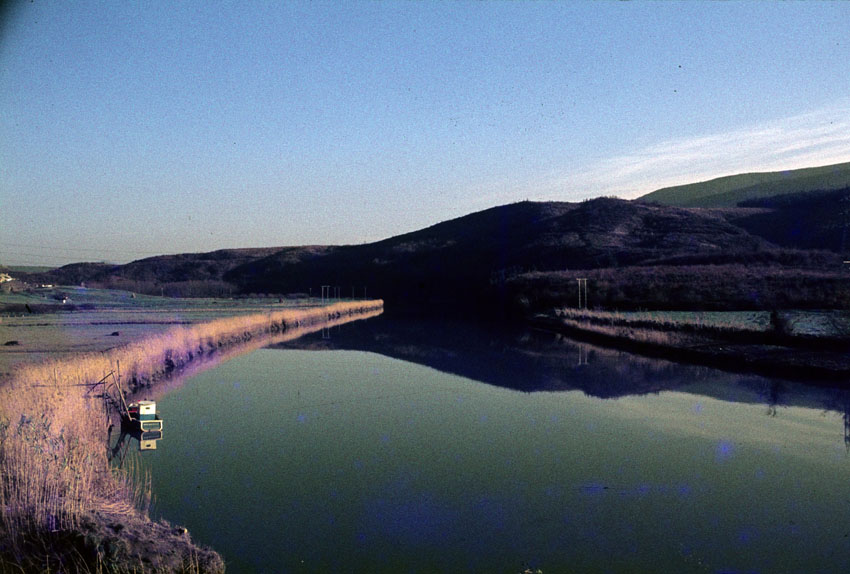 El rio Oria en Aginaga